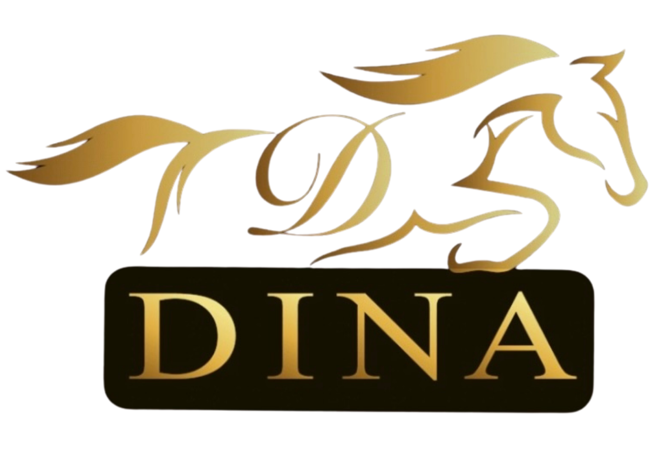 DINA